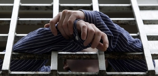 Jako jediné řešení své situace vidí amnestovaný muž v návratu do věznice (ilustrační foto).