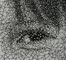 Detailní pohled ukazuje to, co z povzdálí lidské oko nerozpozná: jednotlivé části tváři jsou vytvořené nití obtočenou kolem hřebíků.