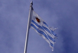 Autoři knihy by na Falklandech rádi viděli uruguayskou vlajku.