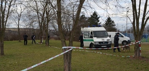 Policisté na základě hlášení o nálezu těla vyjeli kolem 09:00 do ulice Nad Pekařkou. Při vyšetřování zjistili, že mrtvým je bezdomovec ze Slovenska.