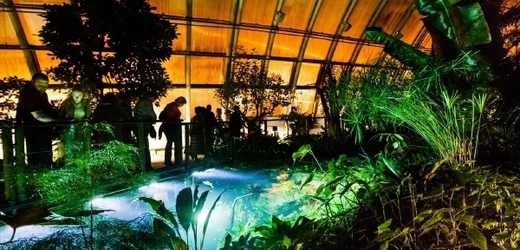 Noční prohlídka v botanické zahradě nabízí nevšední pohled na rostliny.