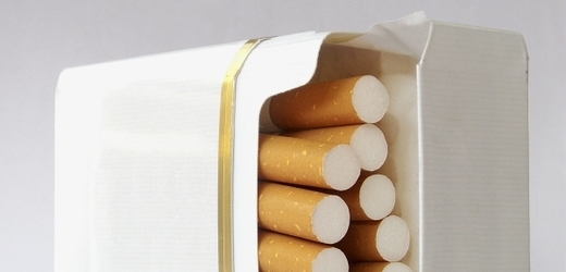 Obyvatelé Surinamu budou moct kouřit pouze u sebe doma či na jiném soukromém místě (ilustrační foto).