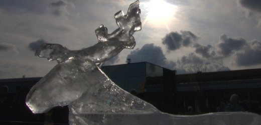 V rámci druhého ročníku dvoudenního ledového festivalu s podtitulem Polární zoo vznikla desítka obrovských ledových soch.