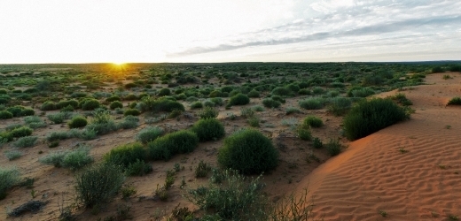 Brit se na tři dny ztratil v rozlehlé pustině v australském vnitrozemí (ilustrační foto).