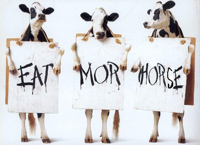 "Jezte víc koní," nabádají nás krávy v jednom z vtipů.