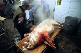 Vepřové maso se skrývá i tam, kde o tom mnozí muslimové a vegetariáni nemají ponětí.