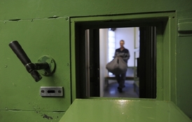 Nejvíce amnestovaných vězňů si za mřížemi odpykávalo trest za krádež, maření výkonu úředního rozhodnutí a zanedbání povinné výživy (ilustrační foto).