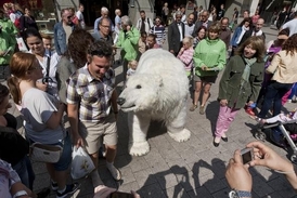 Greenpeace přiveze lední medvědici Paulu - totiž zdařilý divadelní kostým, bojující s klimatickými změnami.