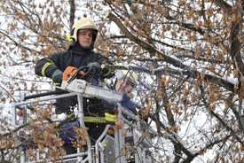 V Olomouci ořezávali hasiči ráno 19. března polámané větve stromů.