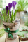 Nemáte doma dost váziček? Zajímavou jarní dekorací může být i březová kůra, kterou připevníte na obyčejnou sklenici a vytvoříte tak originální vázu.