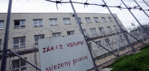Věznice s ostrahou s oddělením pro výkon trestu s dozorem pro dospělé muže v Jiřicích na Nymbursku.