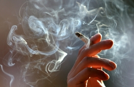 Podle návrhu protikuřáckého zákona by měl od roku 2014 platit úplný zákaz kouření v restauracích (ilustrační foto).