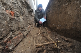 Kostru bez lebky, která byla zřejmě v minulosti odstraněna, našli archeologové v základech zámku.
