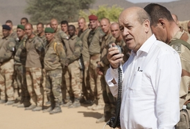 Maliská armáda.