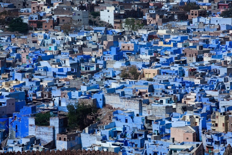Jodhpur, Indie.Podle jedné verze bylo město nabarveno, protože modrá podtrhuje královskou příslušnost Brahminských rodin, podle druhé složení této barvy odpuzovalo termity. (Foto: Profimedia.cz)