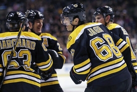 Česká osmašedesátka si v týmu Bruins zvyká na nové spoluhráče.