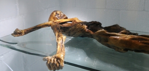 Ledový muž Ötzi.