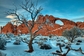 Arches Natinal Park, Utah. V parku se nachází na dva tisíce pískovcových oblouků. (Foto: Rmcguirephoto.com)
