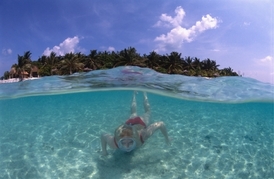 Maledivy jsou rájem pro potápěče. I ty se šnorchlem. 