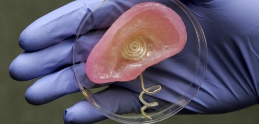 Ucho z živé tkáně schopné registrovat rádiové vlny.