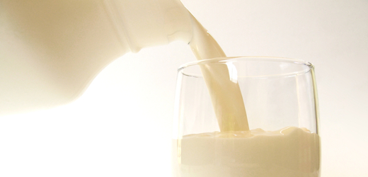 Mléko a mléčné výrobky jsou nenahraditelným zdrojem vápníku.