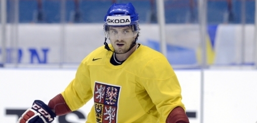 Reprezentační útočník Petr Koukal.