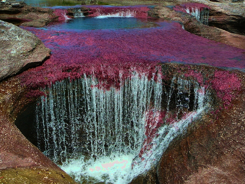 Cano Cristales River, Kolumbie. (Foto: Worldoftravel.com)
