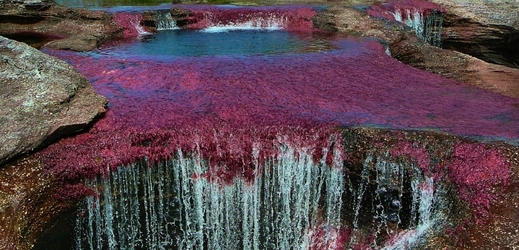 Cano Cristales River, Kolumbie. (Foto: Worldoftravel.com)