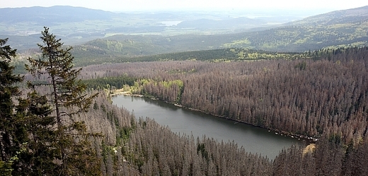 Plešné jezero v Národním parku Šumava.