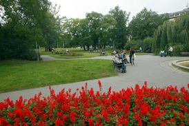 Do konce roku 2018 se má náměstí proměnit v městský bulvár s novou zelení. Snímek ze současnosti.