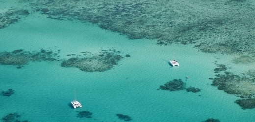 Velký bariérový útes u pobřeží Austrálie.