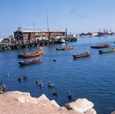 Rybolov je důležitá součást chilské ekonomiky.