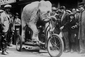 Na kole jezdili dokonce i sloni. Speciální tříkolka kontruované pro slony v cirkusu. 