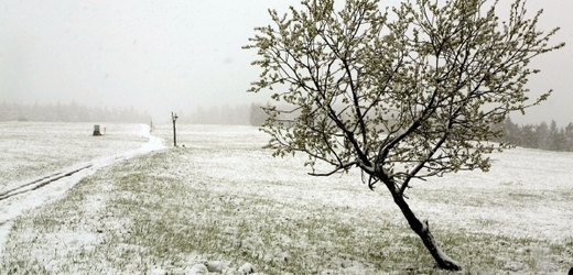 Obyvatele Krušných hor překvapilo na konci května sněžení.