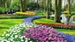 Zahrady Keukenhof, Holandsko. (Foto: Nexttriptourism.com)