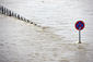 Jedna ze zatopených náplavek u Vltavy. (Foto: Robert Sedmík)
