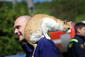 V Křešicích východně od Litoměřic hasiči zachraňovali před velkou vodou kočku. (Foto: Karel Šanda)