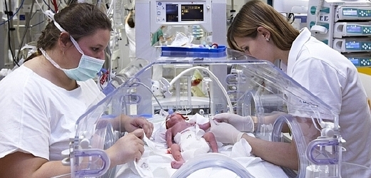 Jedno z paterčat v inkubátoru krátce po narození.