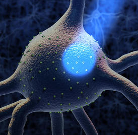 Bílkoviny na povrchu nervové buňky způsobí po zásahu světelným paprskem změnu jejího chování.