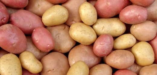 Pěstitelé dostávají kolem 15 korun za kilogram brambor (ilustrační foto).