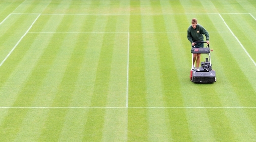 O trávník je ve Wimbledonu vždy perfektně pečováno. (ČTK/PA/Anthony Devlin)