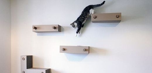 Kočičí strom můžete připevnit na stěnu v každé domácnosti.