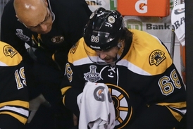 S Bruins se Jágr probojoval až do finále play-off, Stanley Cup ale nakonec vyhrálo Chicago.