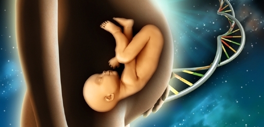 DNA rodičů by sloužila k vytvoření zdravého embrya (ilustrační foto).