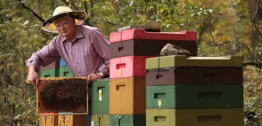Podívejte se, jak vypadá práce včelaře. 