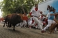 Běhu s býky v Pamploně se zúčastní každý den tisícovky lidí.