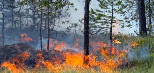 Téměř po celé ČR platí výstraha před požáry (ilustrační foto).