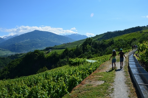 Z rozeklaných skal přivádí rozmanitá trasa Bisse du Clavau blahodárnou vodu až k poklidným vinicím nad městečkem Sion.