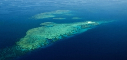 Nové zařízení by mělo pomoci i s vymýšlením způsobu, jak zachránit skomírající Velký bariérový útes.