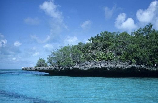 Aldabra se nachází jižně od Seychelských ostrovů a severně od Madagaskaru. Je tvořen výhradně korály a zbytky vápenitých schránek dalších živočichů.